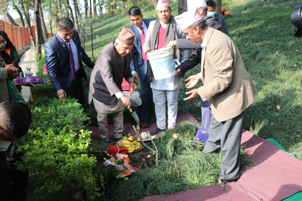 राष्ट्रपति पौडेलले गरे वनकालीमा वृक्षरोपण